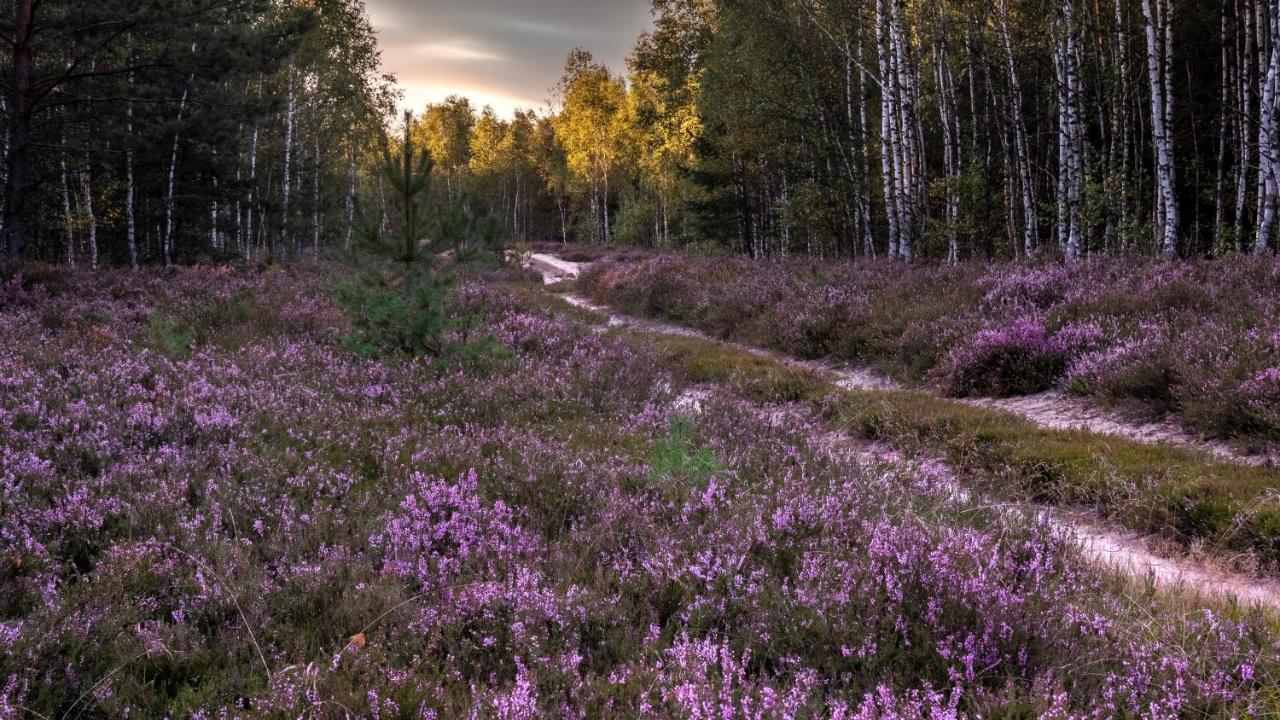 Appartamento Przystan Pilawa Borne Sulinowo Esterno foto